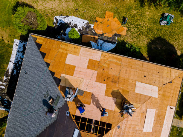 Best Roof Gutter Cleaning  in Woodlawn, VA
