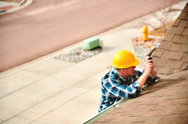 Best Roof Gutter Cleaning  in Woodlawn, VA